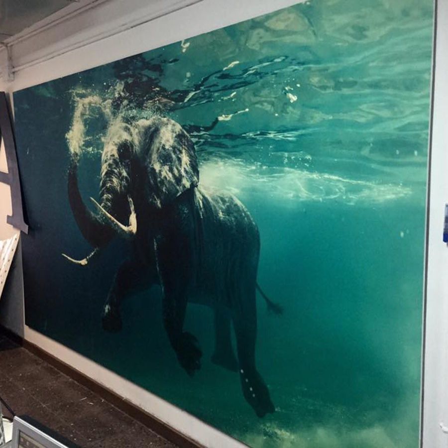 Fotomural de un elefante bajo el agua